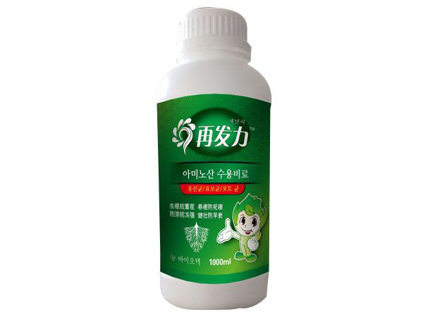 江南网页版1000ml